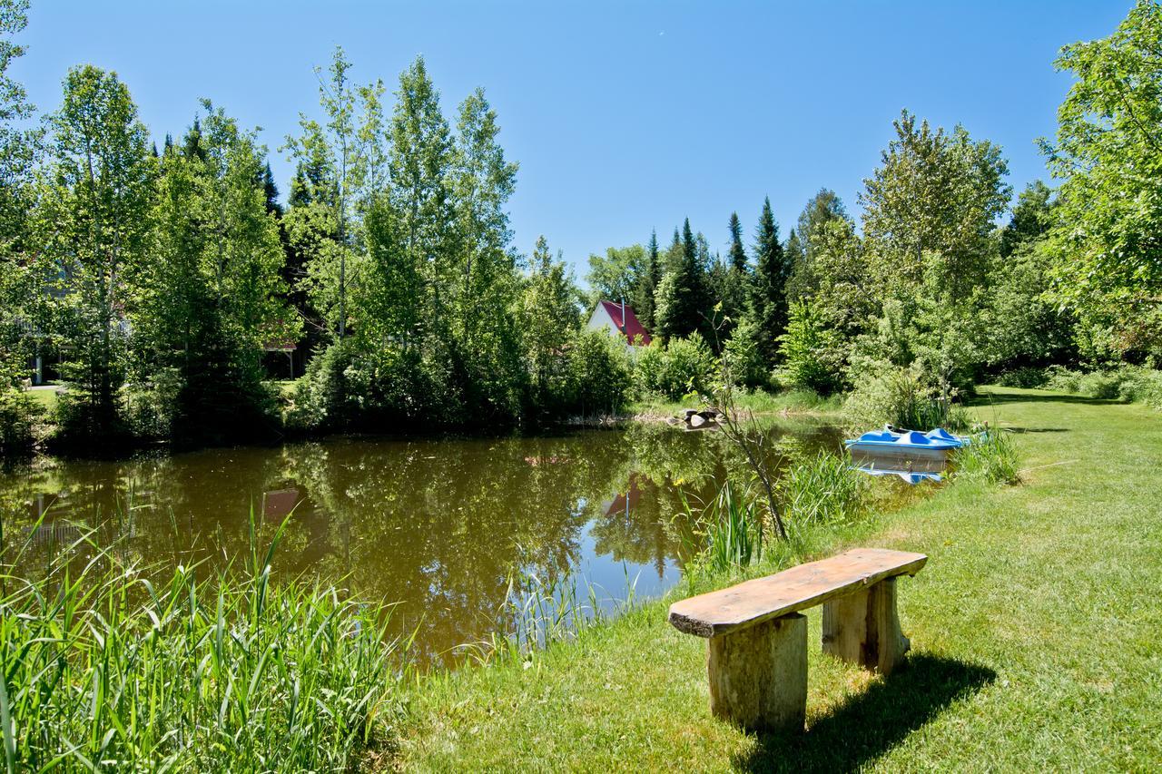 Camping Chalets Spas Pignons Rouges Saint Romain Ngoại thất bức ảnh